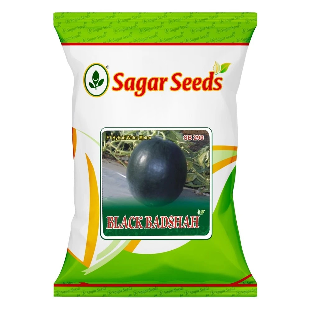Sagar Black Badshah F1 Hybrid Watermelon Seeds, Large Uniform Fruits, Suited For Summer Season