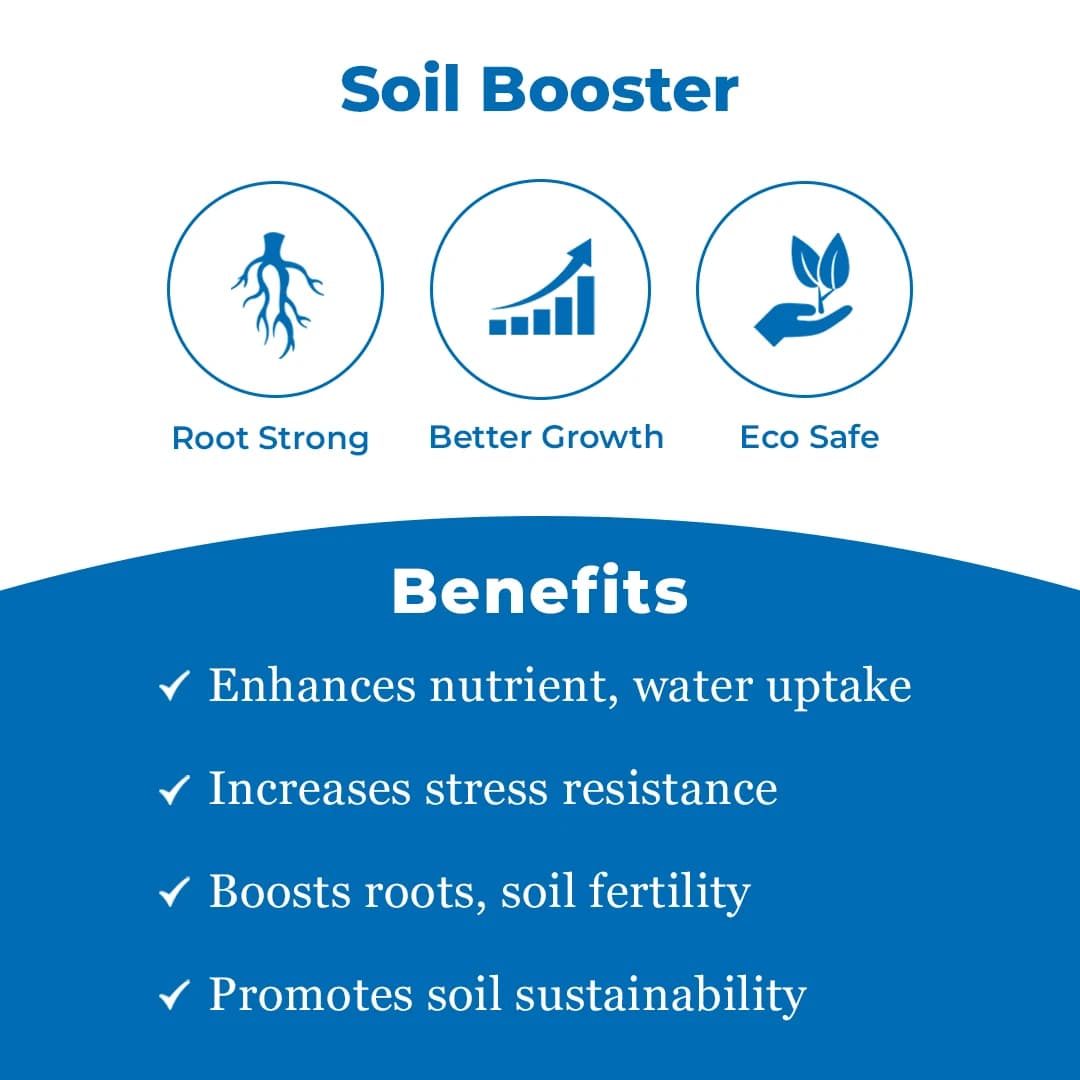 Vamxon - Vesicular Arbuscular Mycorrhiza Biofertilizer - Image 3