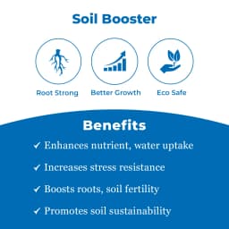 Bacf Vamxon - Mycorrhiza Biofertilizer 3