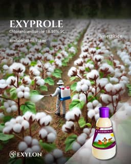 Exylon Exyprole Chlorantraniliprole 18.50% SC Insecticide, Effective Control Borer In Crops 2