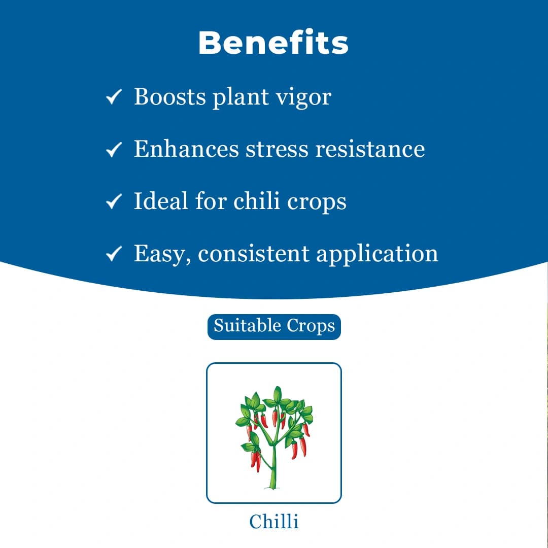 CHILLI GROW Amruth Chilli Microbial Consortia-ACC, Chili Special, Best For Plant Development - Image 4