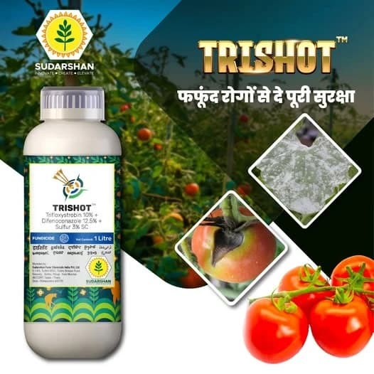 Sudarshan Trishot Trifloxystrobin 10% + Difenconozole 12.5% + Sulfur 3% SC Fungicide, Effective Against A Wide Range Of Fungal Diseases - Image 2