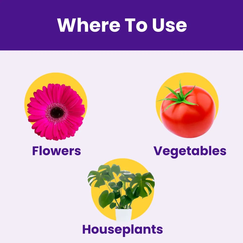 उत्कर्ष बीशेप (डिसोडियम ऑक्टाबोरेट टेट्राहाइड्रेट बोरॉन 20%) (100% पानी में घुलनशील पत्तेदार छिड़काव), परागण और फल और बीज विकास में मदद करता है। - Image 7