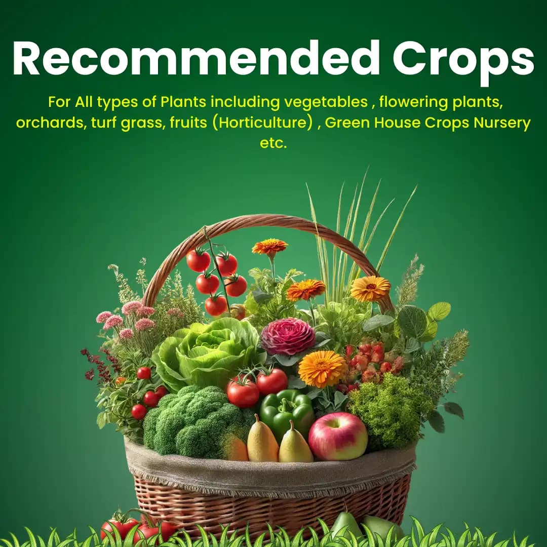 कात्यायनी चीलेटेड मिक्स माइक्रोन्यूट्रिएंट सुपर, घरेलू बग़ीचा, नर्सरी और कृषि उपयोग के लिए उन्नत खाद - Image 4