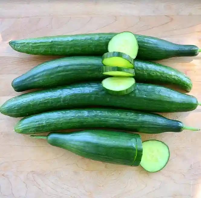 Jivit Cucumber F1 JS 7000 Hybrid Seeds, Vigorous Growing Early Maturity Variety - Image 1