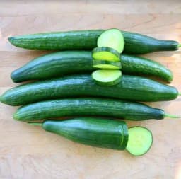 Jivit Cucumber F1 JS 7000 Hybrid Seeds, Vigorous Growing Early Maturity Variety 2