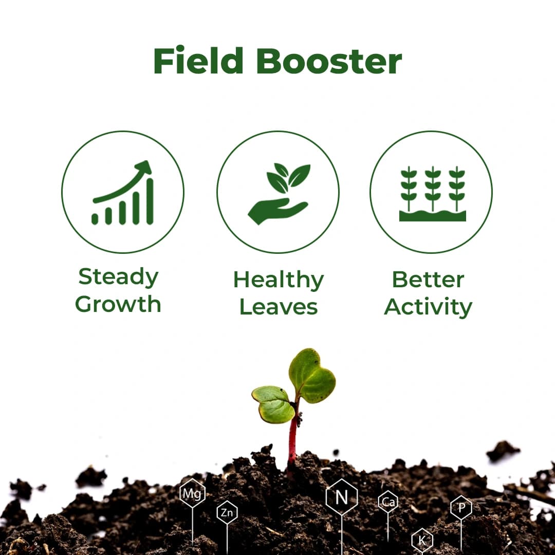 Gacil Paddy Special - Micronutrients For Paddy - Image 3