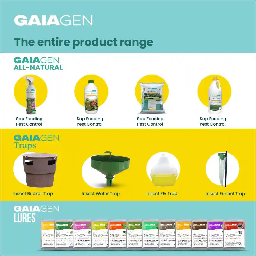 GAIAGEN Pheromone Water Trap and Lure For Sugarcane Top Borer (Scirpophaga excerptalis) And Insect Water Trap Combo Pack - Image 10