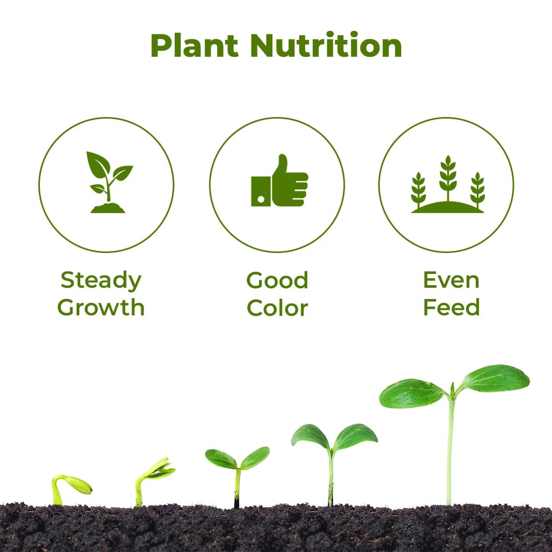 NPK 19:19:19 Water Soluble Fertilizer For Plants And Vegetables For Fast Growth And Flowering. - Image 3