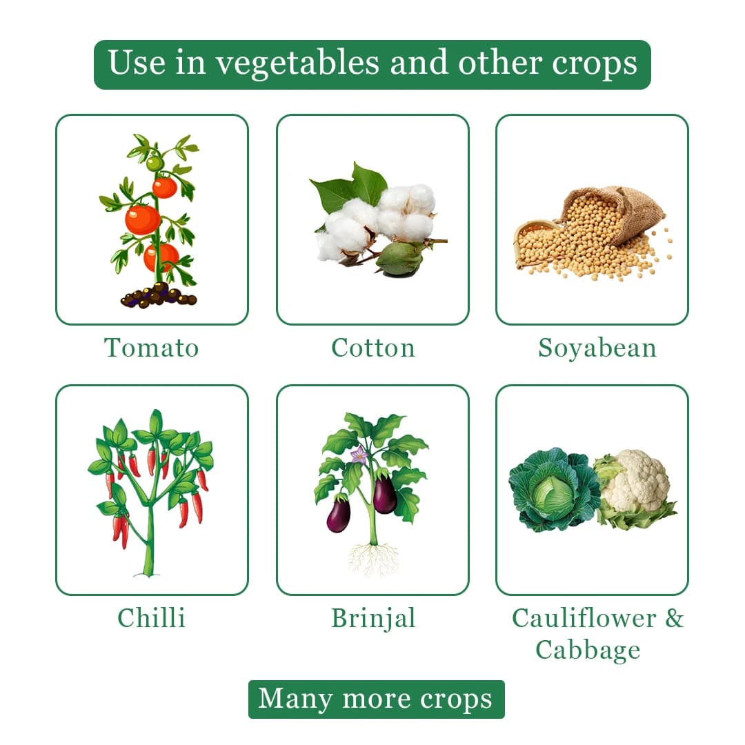 Agriventure Fipro Insecticide - Image 4