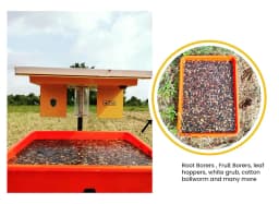 Hectare Automatic Solar Insect Trap with 10 watt Solar Panel UV Light. To capture all types of Insects of Crops. 5