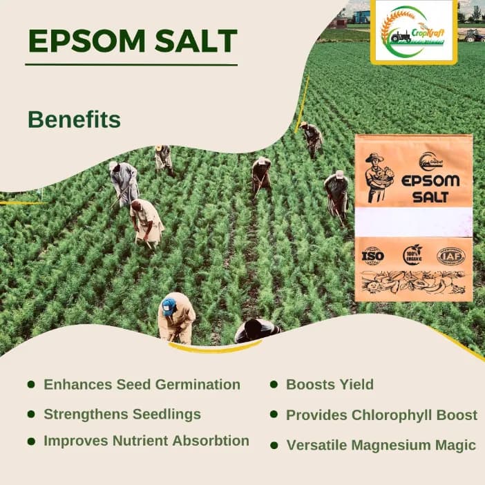 CROPKRAFT Epsom Salt (Magnesium Sulphate) Magnesium as Mg (9.7%) & Sulphur as S (12%) Powder - Image 3
