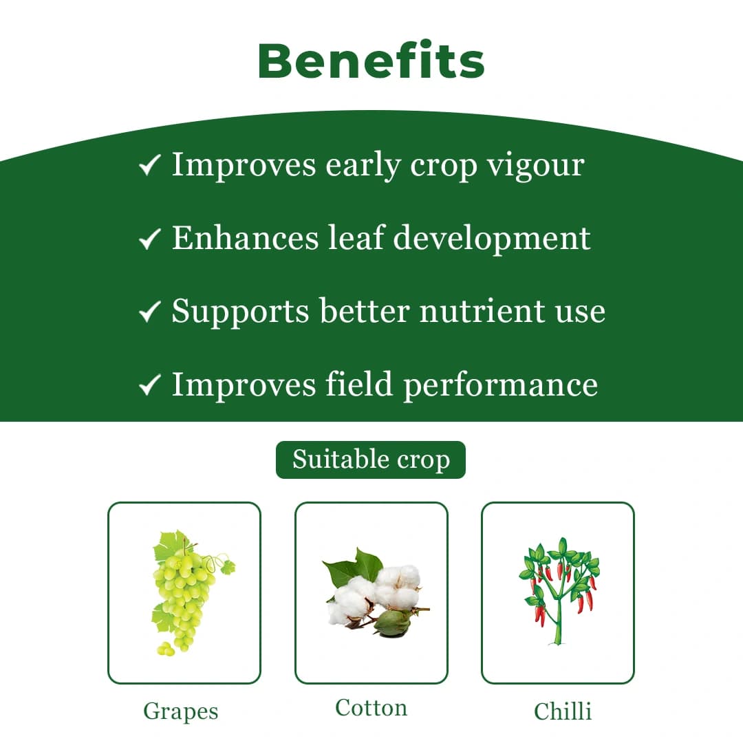 EBS G-Pro Propargite 57% EC, That Controls Mites Through Contact And Fumigant Action. - Image 4