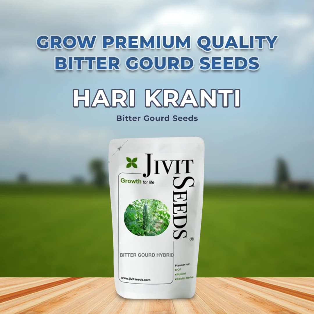 Jivit Hybrid F1 Hari Kranti Bitter Gourd Seeds. Dark Green Deep Green Ridged Fruits. - Image 2