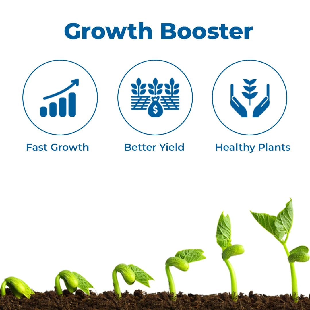 Sumitomo Sumi Blue Diamond Gibberellic Acid 0.1% GR Plant Growth Regulator, Complete Development Helps the Paddy Plant - Image 3