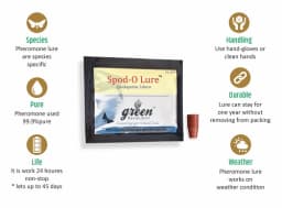 Funnel Trap with Spodo O Lure (Spodoptera Litura Pheromone) For Tobacco, Cotton, Red gram, Tomato and Chilli. 9