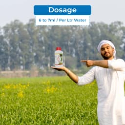 Cropex NPK Boost Fertilizer, NPK Fortified With Zinc And Boron, Increase Crop Growth And Development. 5