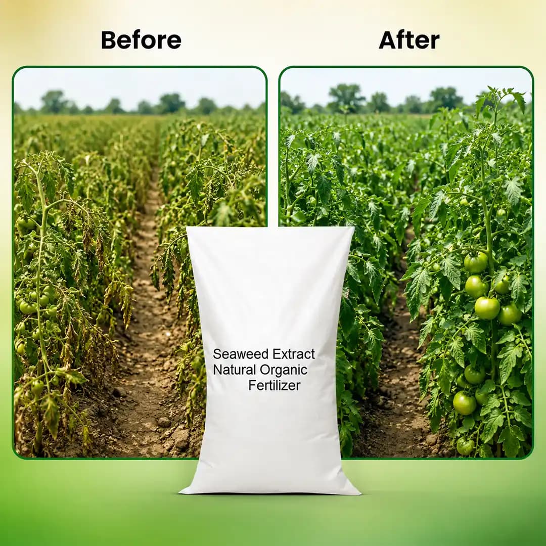 NCS ಸೀವೀಡ್ ಎಕ್ಸ್ಟ್ರಾಕ್ಟ್ ಪೌಡರ್ - 25KG ಚೀಲ - Image 7