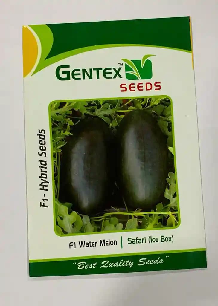 Gentex Safari Hybrid Watermelon Seeds (Ice Box Segment) Oval Shape, For Rabi Season