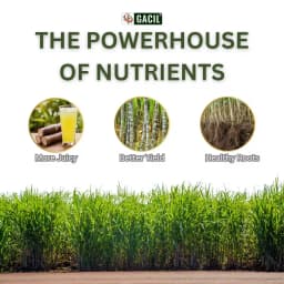 Sugarcane Special Liquid Micronutrient Mixture Fertilizer Enriched with Essential Micronutrients like Zinc, Ferrous, Boron, Copper And Manganese. 4