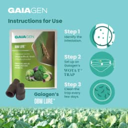 Gaiagen DBM Lure and Traps Pheromone Lure for Diamondback Moth (Plutella xylostella) & Insect Water Trap (Wota-T) 6