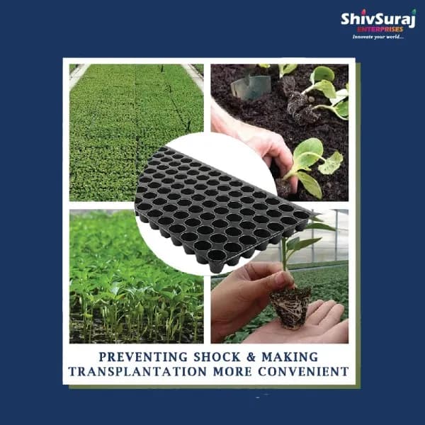 Shivsuraj 126 Cavity Seedling Tray Square Shape Hole Germination Tray, Nursery Tray, For Sowing Seeds - Image 8