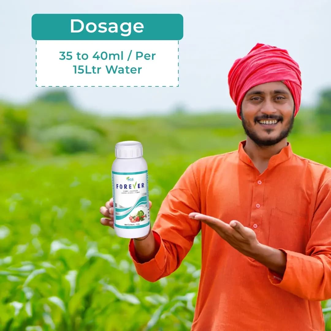 FOREVER - Special Plant Growth Promoter, Yield Enhancer, and Plant Immunity Booster (Humic Acid + Amino Acid + Seaweed Extract + Fulvic + Cytokinin) - Image 5