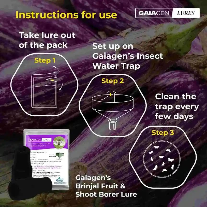 Gaiagen Brinjal Fruit And Shoot Borer Pheromone Lure For Leucinodes Orbonalis, IMO Certified. - Image 5