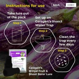 Gaiagen Brinjal Fruit And Shoot Borer Pheromone Lure For Leucinodes Orbonalis, IMO Certified. 5