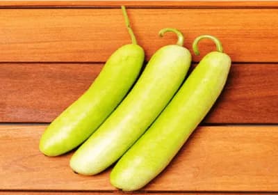 Iris Hybrid Vegetable Seeds Bottle Gourd - Long, Lauki Ke Beej, Excellent Germination, (15 Seeds) - Image 1
