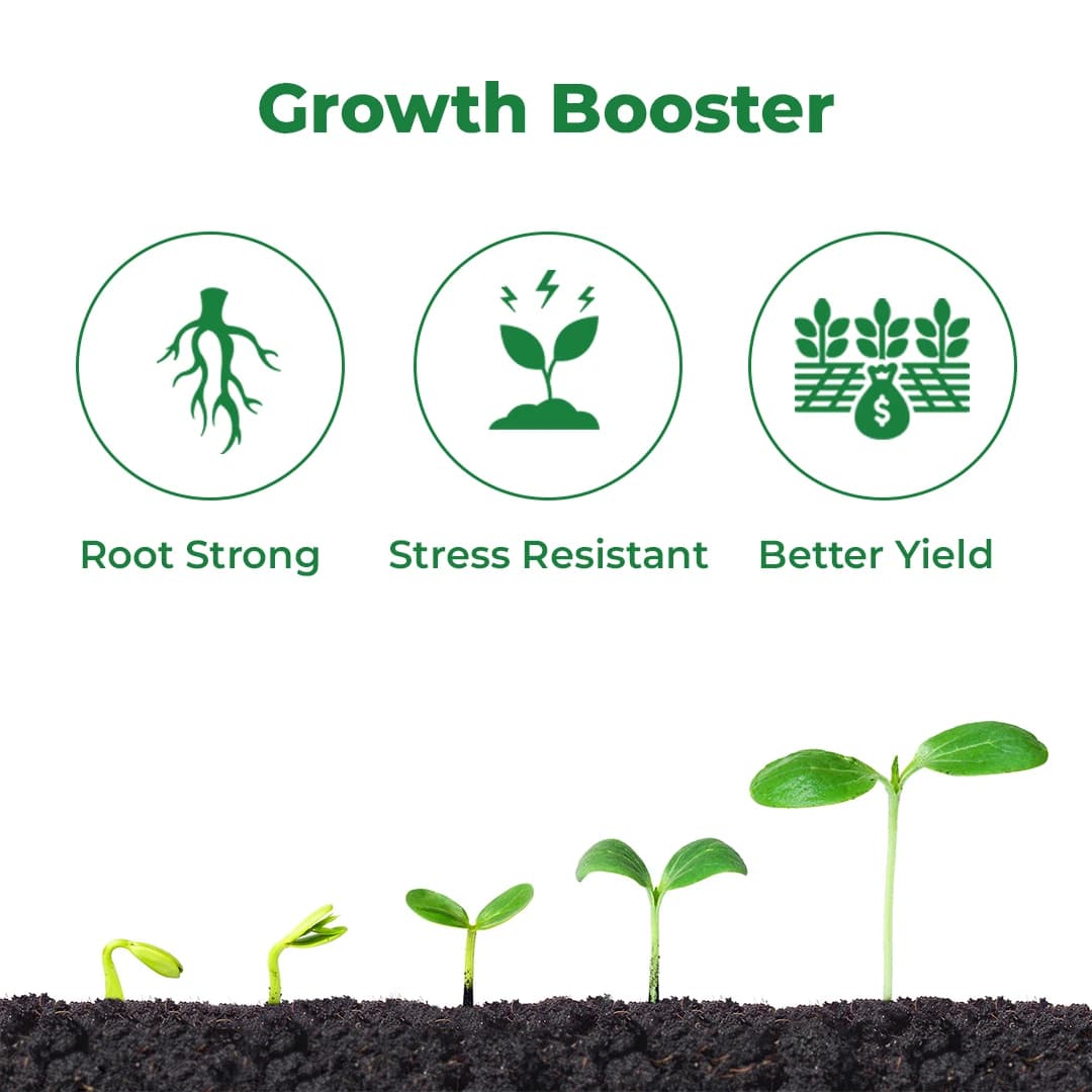 IIL CHAPERONE Sodium Para Nitro Phenolate 0.3% SL Plant Growth Promoter, Enhances Crop Growth - Image 3