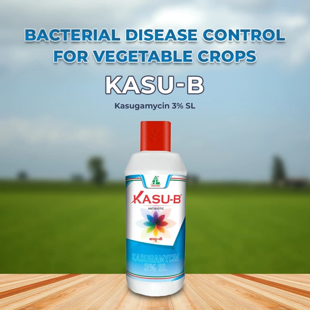 Dhanuka KASU-B Kasugamycin 3% SL Fungicide, Broad Spectrum, Effective For Fungal And Bacterial Diseases Control In Multiple Crop - Image 2