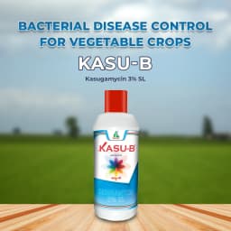 Dhanuka KASU-B Kasugamycin 3% SL Fungicide, Broad Spectrum, Effective For Fungal And Bacterial Diseases Control In Multiple Crop 2