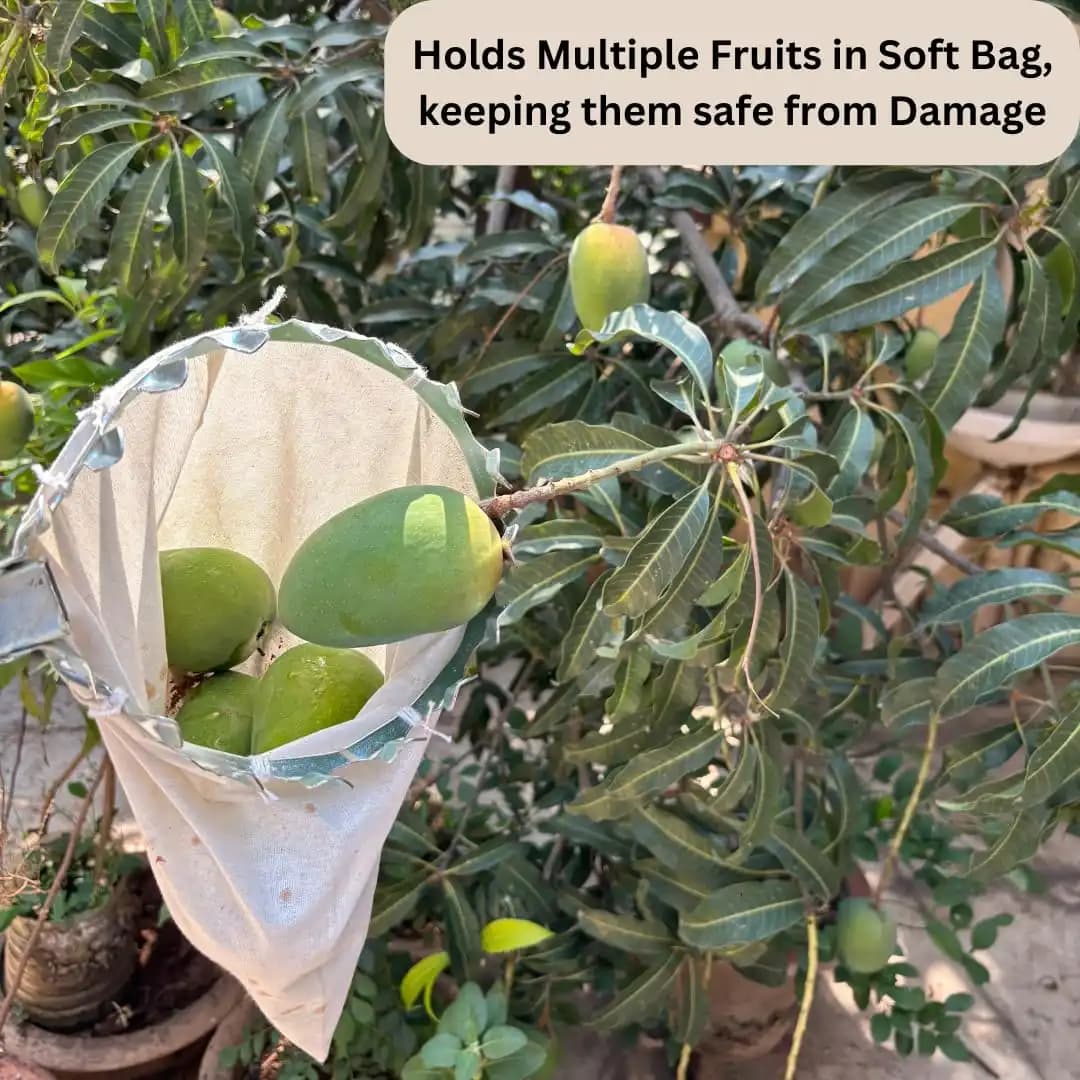 Sakha Agro Fruit Picker, Head Basket for Picking and Gathering Fruits Like Mango, Guava, Pear, Apple, Orange, Lightweight Tool (Without Pipe) - Image 3