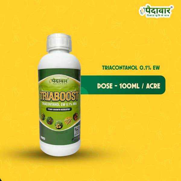Paidavaar Triaboost Triacontanol 0.1% EW Plant Growth Regulator For Enhanced Crop Growth and Yield - Image 5