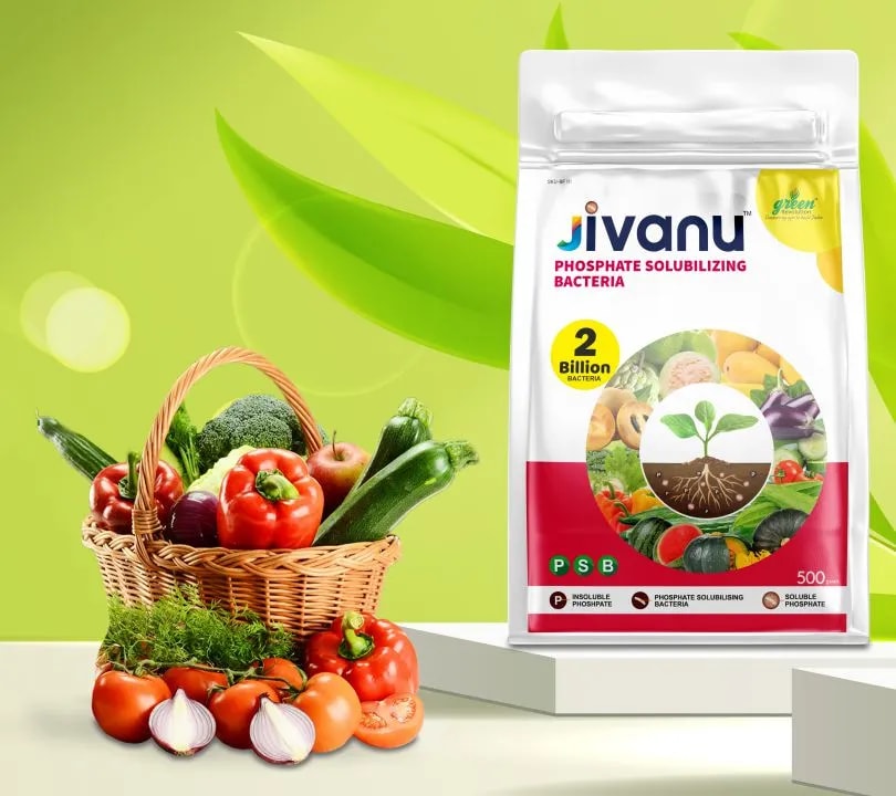 Jivanu (Potassium Solubilizing and Mobilizing Bacteria KSB, KMB) Bio Fertilizers