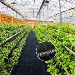 Singhal 90 GSM Garden Weed Control Barrier Sheet Mat, Landscape Fabric, Heavy Duty Weed Block Gardening Mat For Gardens (Black) 11