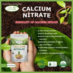Agriventure Calcium Nitrate 18.8%, 100% Water Soluble Fertilizer, Increases Crop Quality And Yield 3