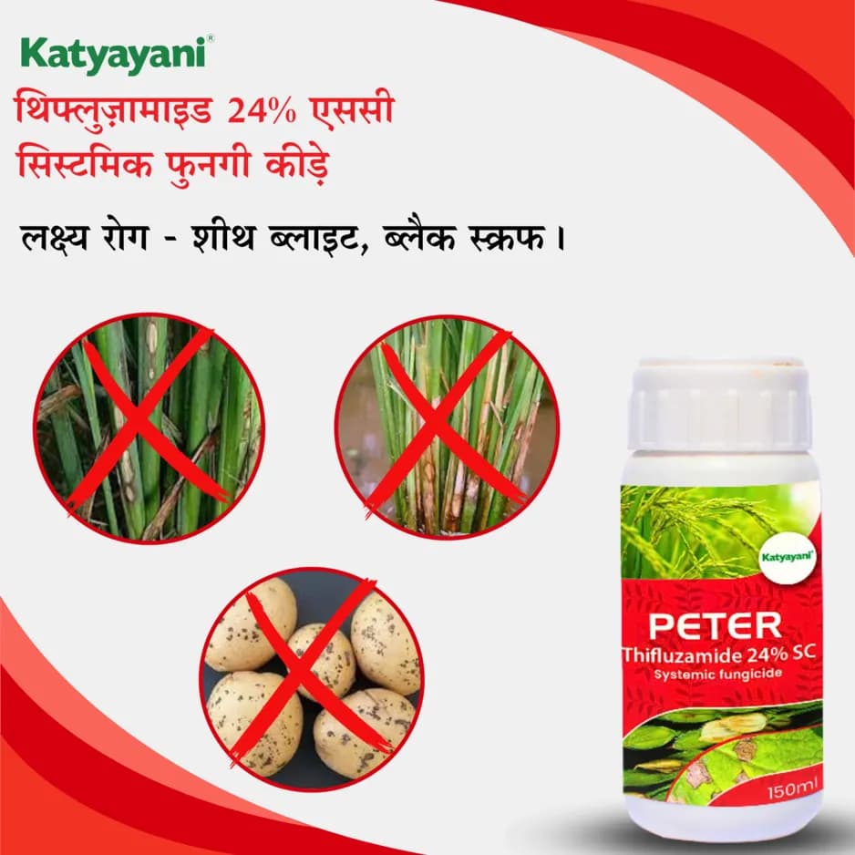 Katyayani Peter Thifluzamide 24% SC Fungicide, Effective Disease Control and Crop Protection - Image 4