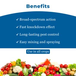 Adama Acemain Acephate 75% SP, For Effective Control Of Wide Range Of Chewing And Sucking Pest 4
