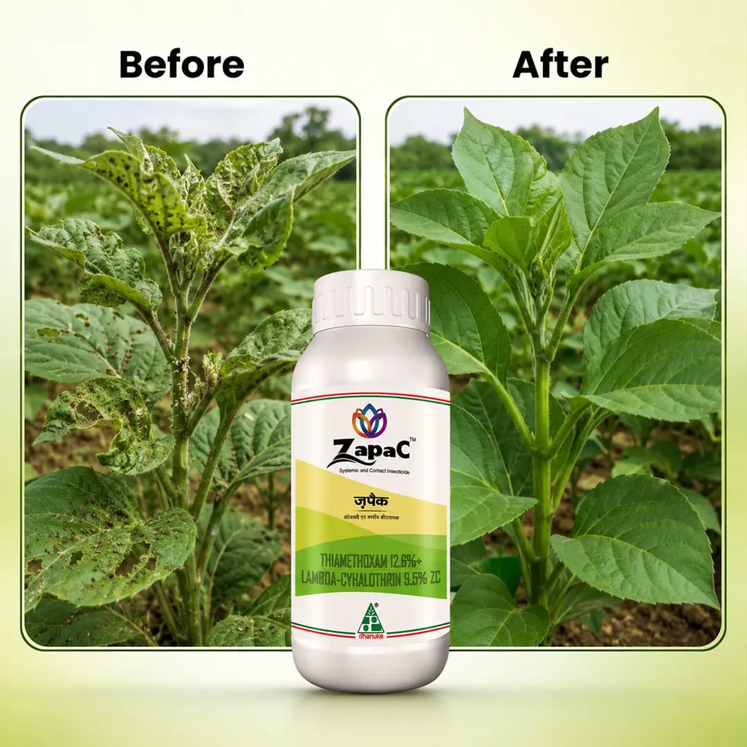 Dhanuka Zapac Insecticide - Image 2
