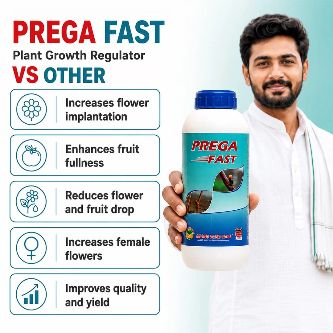 Anand Prega Fast (Flowering Stimulant), Increases Number of Flower In Plant And Yield, Reduces Flower And Fruit Drop - Image 2