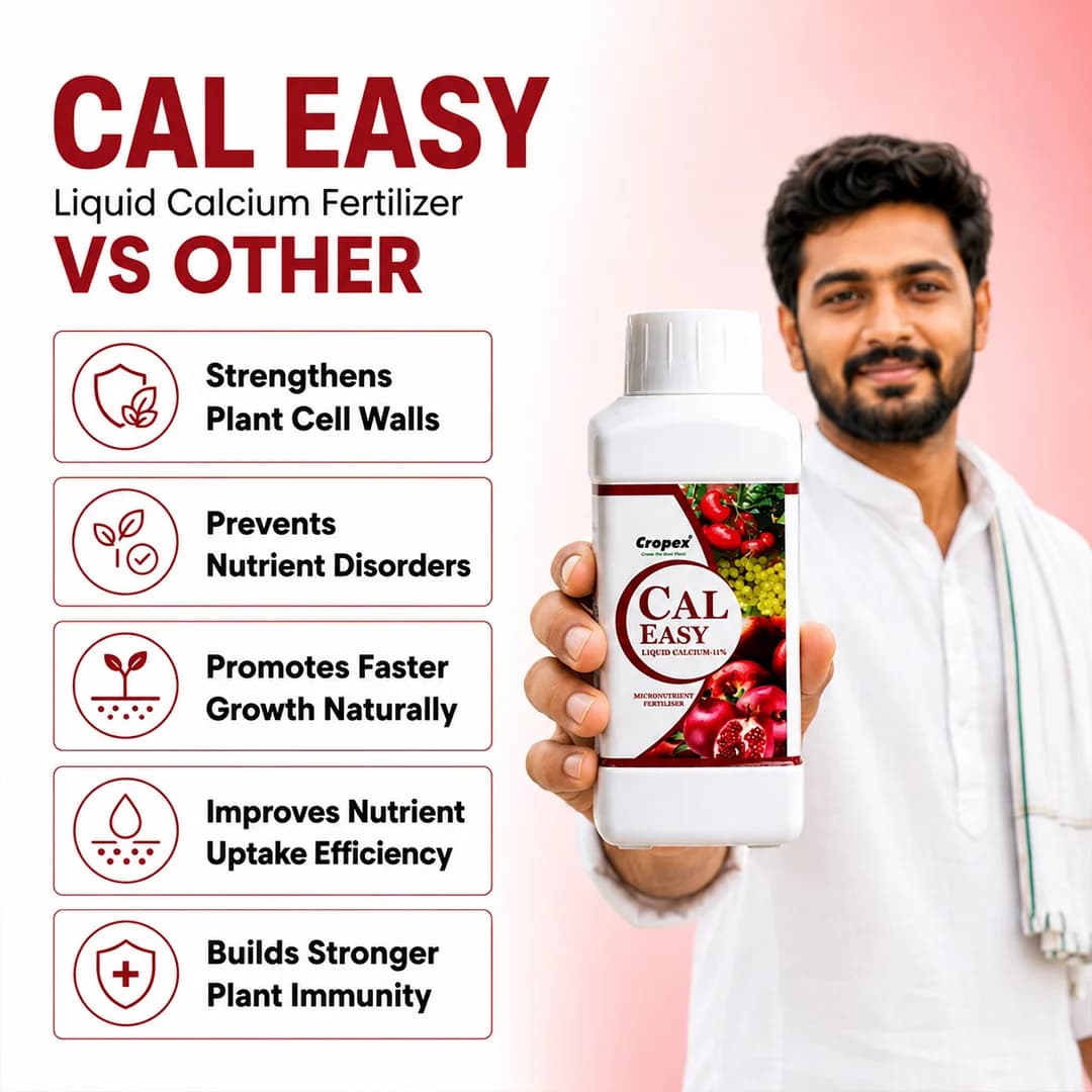 सीएएल इजी लिक्विड कैल्शियम-11% माइक्रोन्यूट्रिएंट उर्वरक, कोशिका की दीवारों को मजबूत बनाता है और ऊतकों के विकास में मदद करता है। - Image 7
