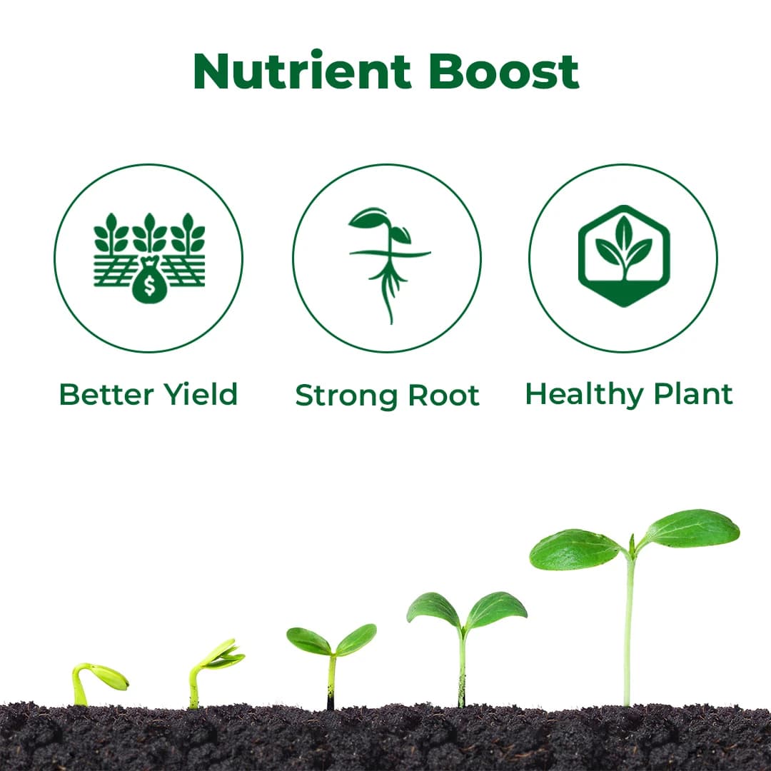 Bacf Nutrixon ZnB SC - Zinc Oxide 39.5% SC - Image 3