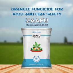 टाटा रेलिस ज़ाफू हेक्साकोनाजोल 0.5% जीआर फफूंदी नाशक, तैयार उपयोग के लिए दानेदार फफूंदी नाशक फार्मूलेशन 2