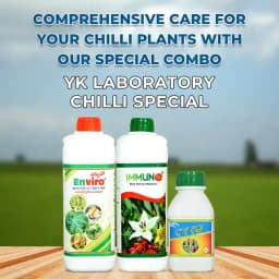 YK Laboratory Chilli Virus Special (Immuno 1 ltr + Enviro 1 ltr + Cyto Plus 550 ml) 2