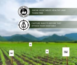 Chipku A5 White Sticky Trap For Insects, Useful for Farming Outdoor and Gardening (Size 150 MM x 200 MM) 7