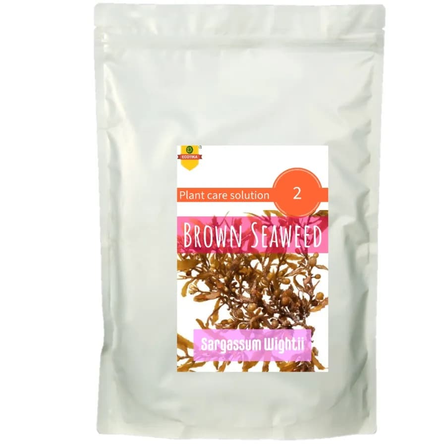 Ecotika 100% Pure Brown Seaweed, Sargassum Wightii, Produces Healthier, More Nutritious Fruits And Vegetables.