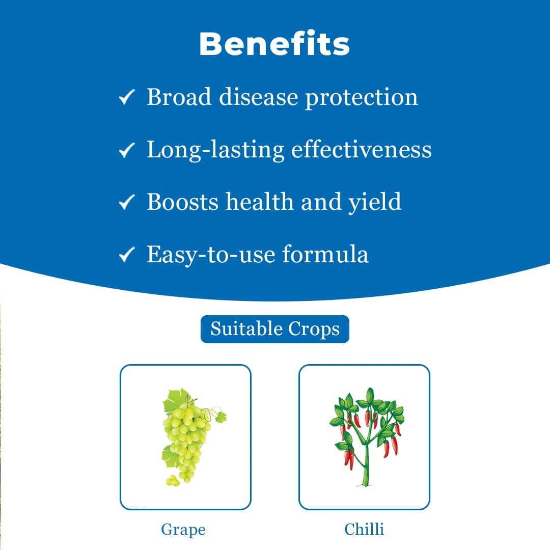 UPL Avancer Glow Azoxystrobin 8.3% + Mancozeb 66.7% WG, Specially For Chilli And Grape. - Image 4