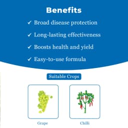 UPL Avancer Glow Azoxystrobin 8.3% + Mancozeb 66.7% WG, Specially For Chilli And Grape. 4